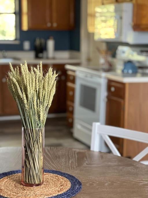 Charming House In Sevierville Family Friendly Quiet Location Close To Wilderness Exteriér fotografie